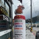 삼가황소고집