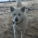 오니하우스 이미지