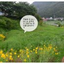 한반도가요주점 Daum카페