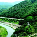 뿌리공원 이미지