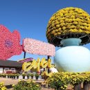 충청남도 태안군교육문화센터 이미지