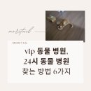 명원약국 | vip 동물 병원, 24시 동물 병원 찾는 방법 6가지