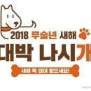 워시엔조이용인