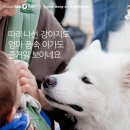 난정이