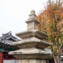 탑동 이미지