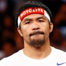 메이저복싱 이미지