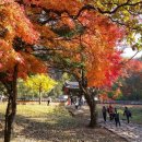 갑오한의원 이미지