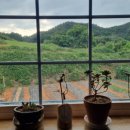 언덕배기 해오름집 이미지