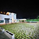 삼천포대교로888 이미지