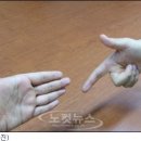 보 이미지