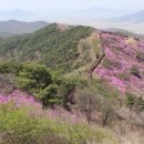 동서3리 이미지