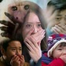 플랑파티세리