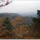 이봉목장 Daum카페