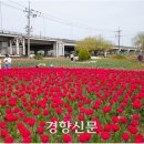 낙동강관리본부 화명생태공원 11 이미지