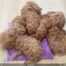 남창원동물병원 이미지