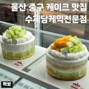 류수제가방류디자인 | 울산 중구 케이크 맛집 수제당 동물성생크림 고구마케이크 잘하는 곳 픽업해 먹어본 후기