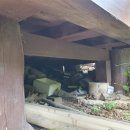 정자세천 이미지