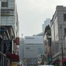 회현체육센터 | 중구회현체육센터 토요일 2부 자유수영 후기 (유아풀O, 센터 킥판/풀부이 사용가능)