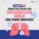 마이코플라스마 페렴균 감염증 예방안내 이미지