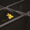 선연건설