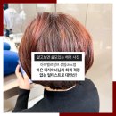 아이벨르 팜므 상암DMC | 개강 맞이 염색은? 아이벨르팜므 상암dmc점 하은 디자이너님과 퇴색 걱정 없는 얼티스트로