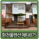 화천풀펜션 메타875 이미지