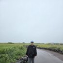 왕바리냉바리