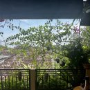 [야간]건강요가 | 발리 우붓 중심지 숙소 4박 후기 | 디카 하우스&amp;아르야 웰니스 리트릿