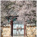 밀양향교 이미지