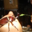 생활도자기 만들기 이미지