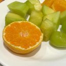 영진카타이어 이미지