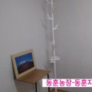 동훈농장 이미지