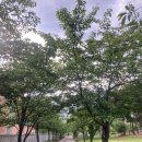 매곡놀이터 이미지