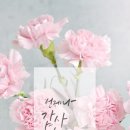 가정헤어 이미지