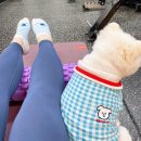 [행복대학] 명지쌤의 나의 체질과 건강법 | 다이어트부터 바디프로필까지 4년동안 다닌 부산 명지 [미주핏] 나비쌤 리얼 후기