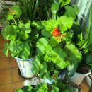 서향경로당 이미지