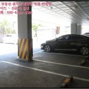 세종약품 주식회사 이미지