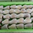 육일농장 이미지