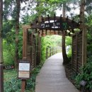 절물자연휴양림 이미지