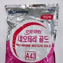 초코약국 이미지