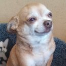 아산호로 | 마운자로후기 2일차 : 조금 불편했던 하루