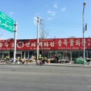 송죽화원