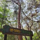 🌳 올데이 숲 체험 활동 - 금강공원 1🌳 이미지