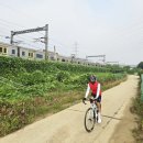 정왕2교 이미지