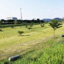 병성천 파크골프장 이미지