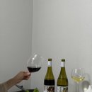 GS25 관양허브점 | 미국 캘리포니아 와인 하우스 오브 브라운 GS편의점 가성비 와인 추천