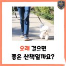덕소로71번길 20-7 네이버블로그