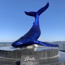 영흥도관광펜션 이미지