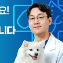 미르동물의료센터 이미지