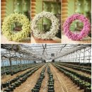 환타지아 이미지